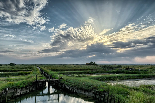 Paysage de la Charente-Maritime
