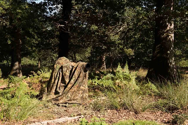 Le fantôme des bois est un accessoire bien adapté pour photographier le brame du cerf.