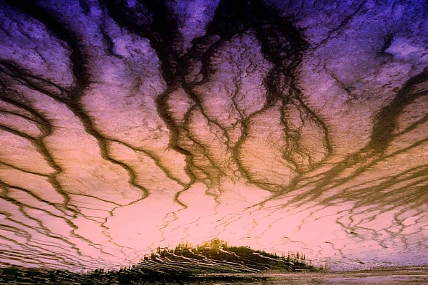 Photographie conceptuelle en couleur créé avec la reflection sur l'eau dans le Yellowstone. Amar Guillen, photographe artiste.