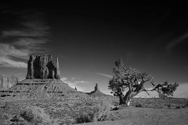 Paysage en noir et blanc de Monument Valley dans l'Arizona. Photographie par Amar Guillen, artiste photographe