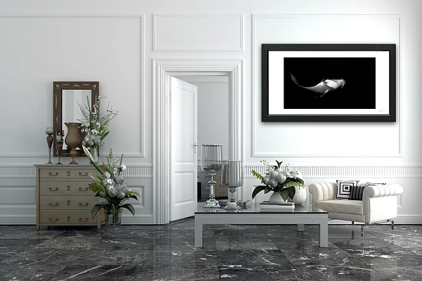 An underwater fine art print displayed in a waiting room.
