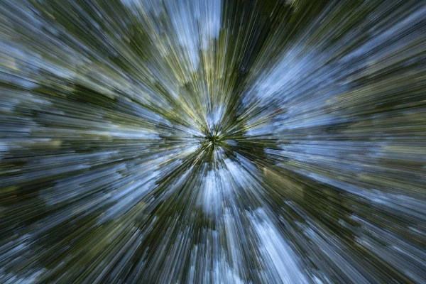 Sous-bois photographié de manière créative en zooming pour rendre hommage au film 'Retour vers le futur'. Photographie d'art en couleur par Amar Guillen, artiste photographe.