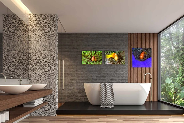 3 photos d'art de poissons clown accrochées sur le mur d'une salle de bain.