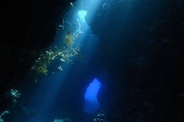 La grotte de Shaab Claudio en Mer Rouge. Photographies par Amar Guillen.