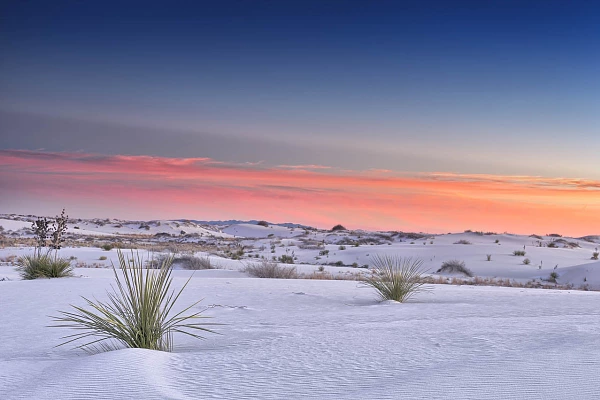 aysage du désert de sable de White Sand Dunesau Nouveau-Mexique aux Etats-Unis. Photographie par Amar Guillen, artiste photographe.